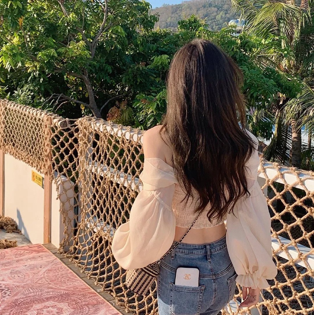 万紫千红花弄蝶